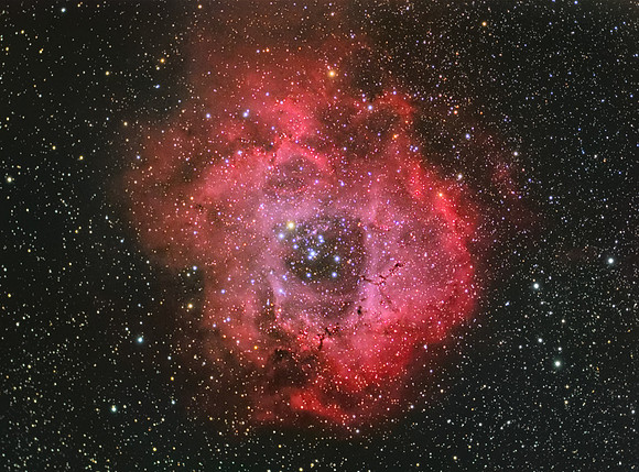 RosetteHaRGB