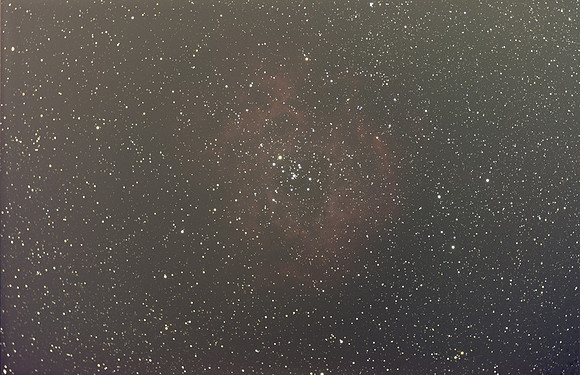 Rosette before