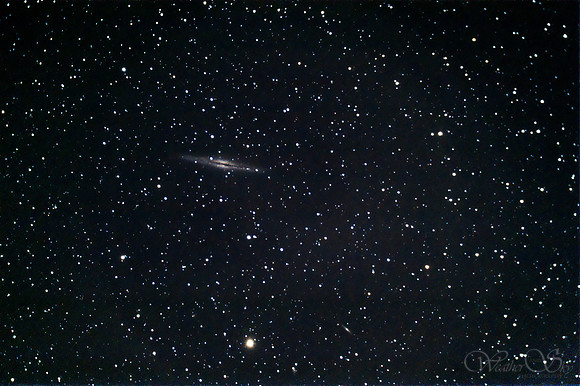 NGC 891