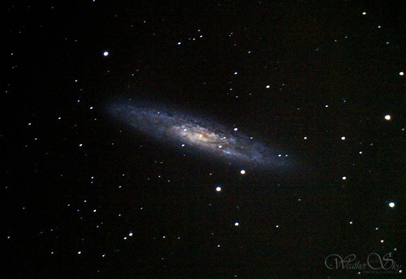 NGC253 Sculptor Galaxy