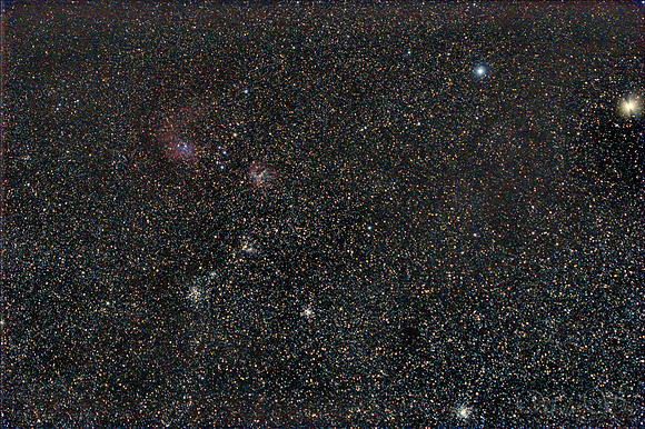 Auriga Widefield