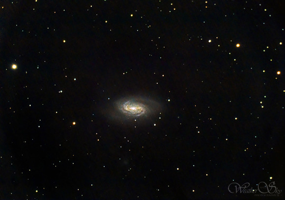 NGC2903