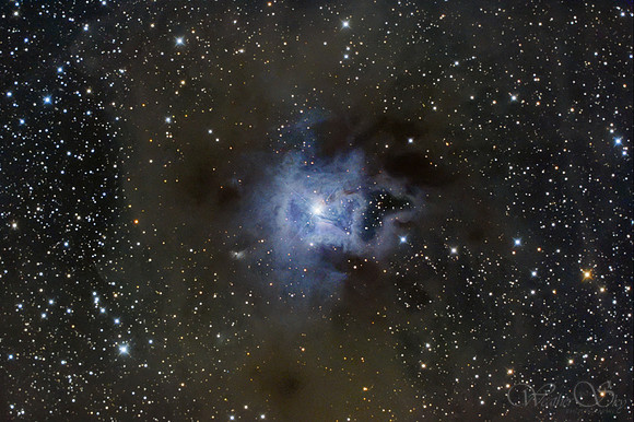 Iris Nebula NGC 7023