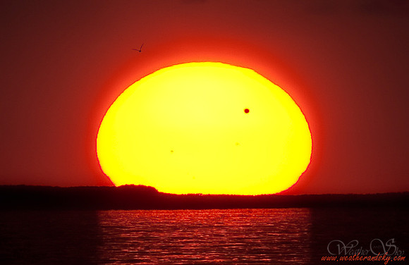 Sun and Venus
