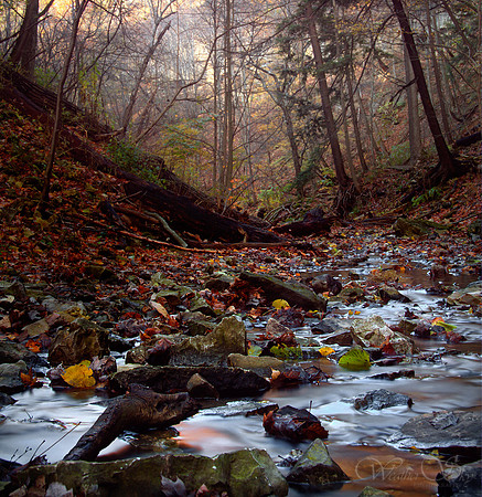 Misty Valley