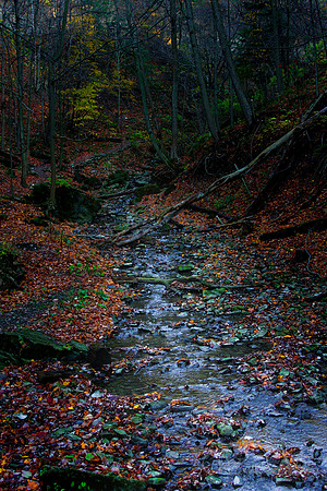 Dark Valley