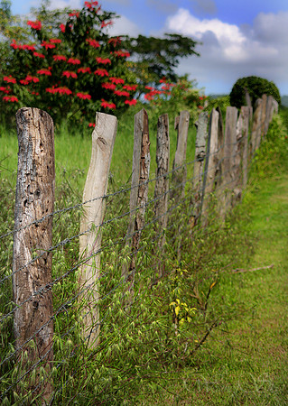 Beautiful Jamaica