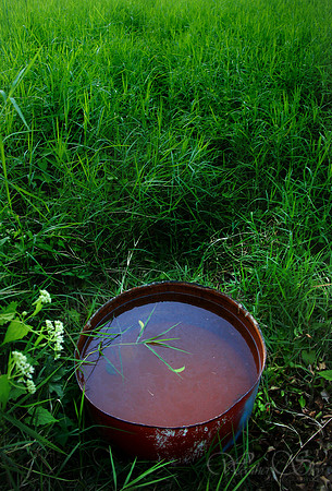 Drinking Bowl