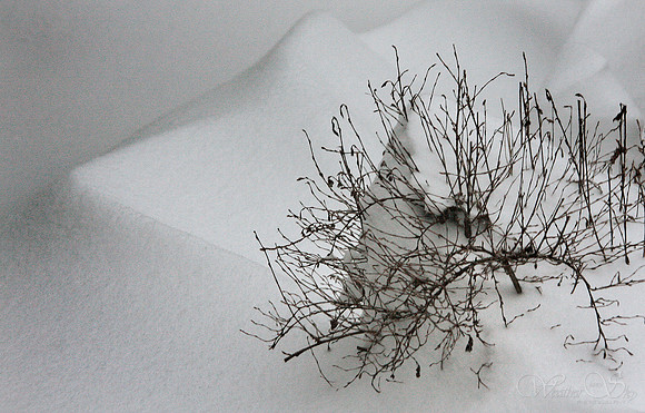 Snow Drifts 2