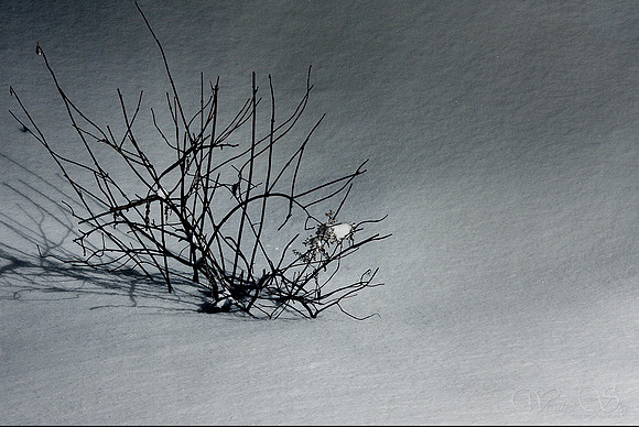Snow Drifts 1