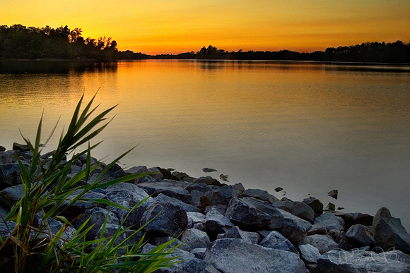 CRW_4957_Binbrook