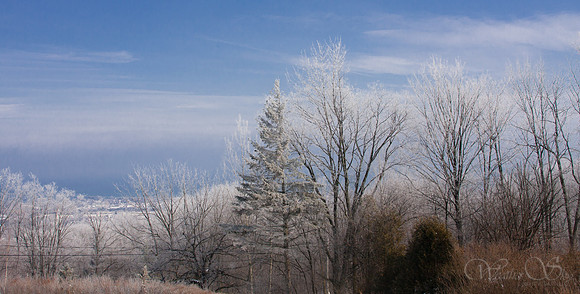 Morning Frost