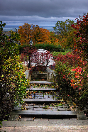 Step into Fall