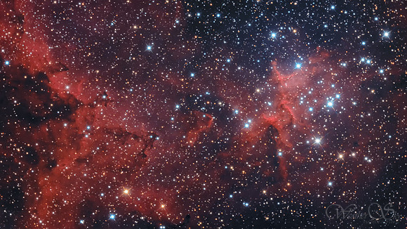IC1805 Heart Nebula