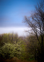 Fog Bank Over Lake Ontario