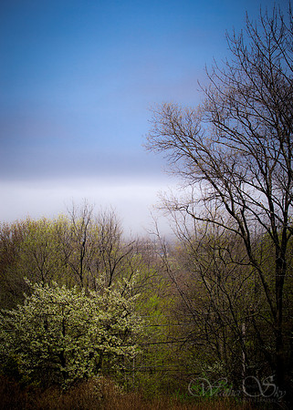 Fog Bank Over Lake Ontario