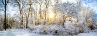 Winter Wonderland