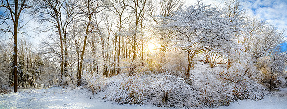 Winter Wonderland